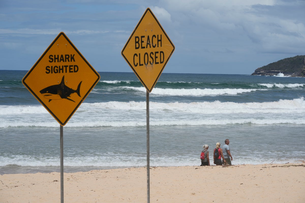 Australia closes dozens of beaches after fourth shark attack in 48 hours: ‘Just go to a local pool’