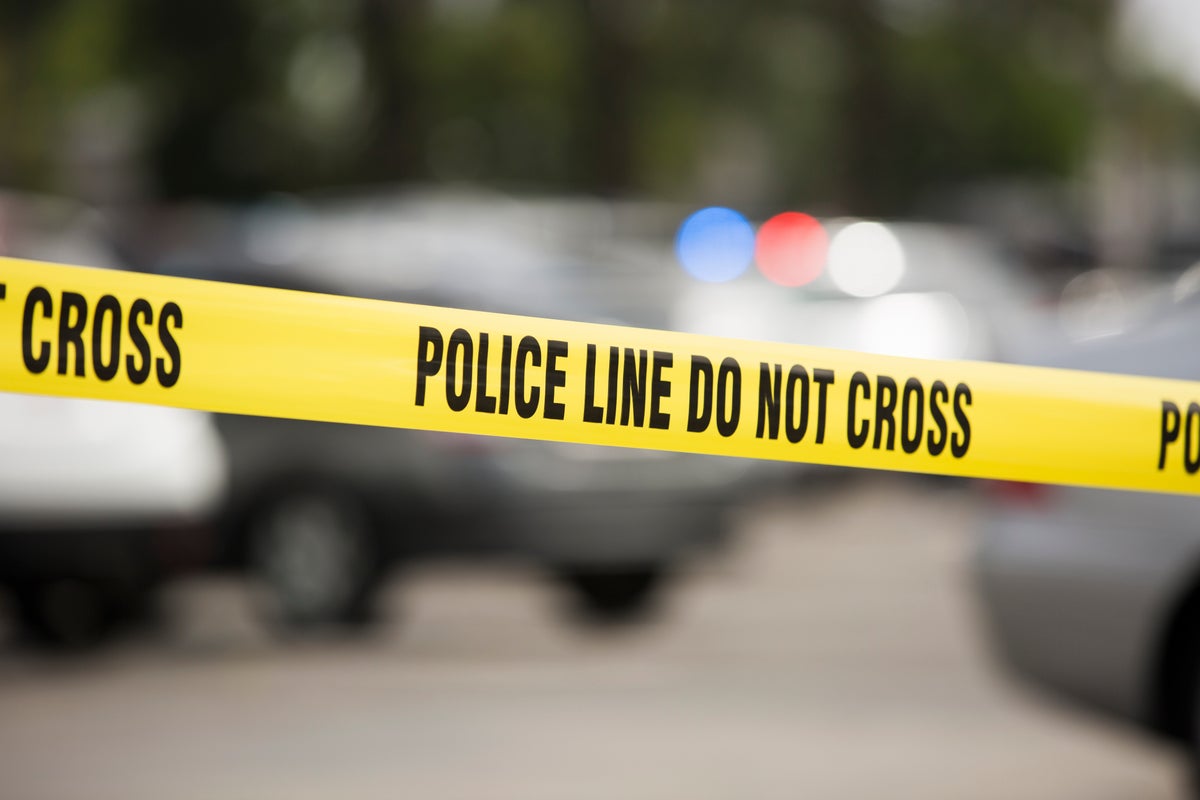 Woman killed in ‘random’ stabbing on MARTA train in Atlanta